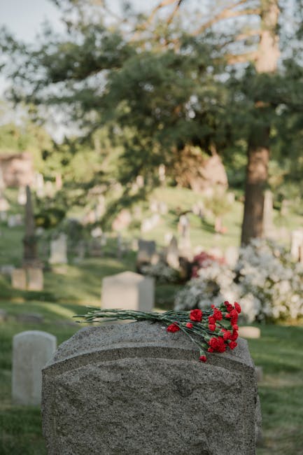 A bouquet of small, vibrant red carnations with green stems rests atop a rounded, grey granite headstone in a lush cemetery setting. The flowers are fresh, with delicate layered petals, and are loosel