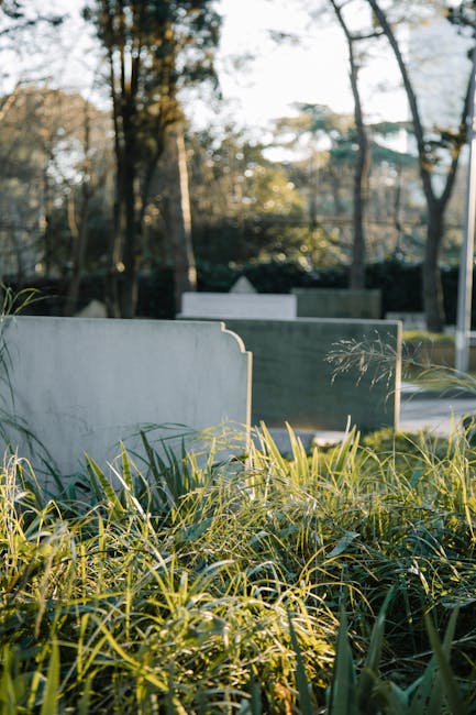 A close-up view of lush green foliage with tall grasses in the foreground, featuring a blurred cemetery scene in the background. The cemetery headstones are made of different materials, including whit